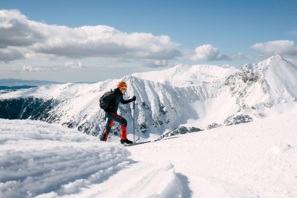 Traces dans la poudreuse
