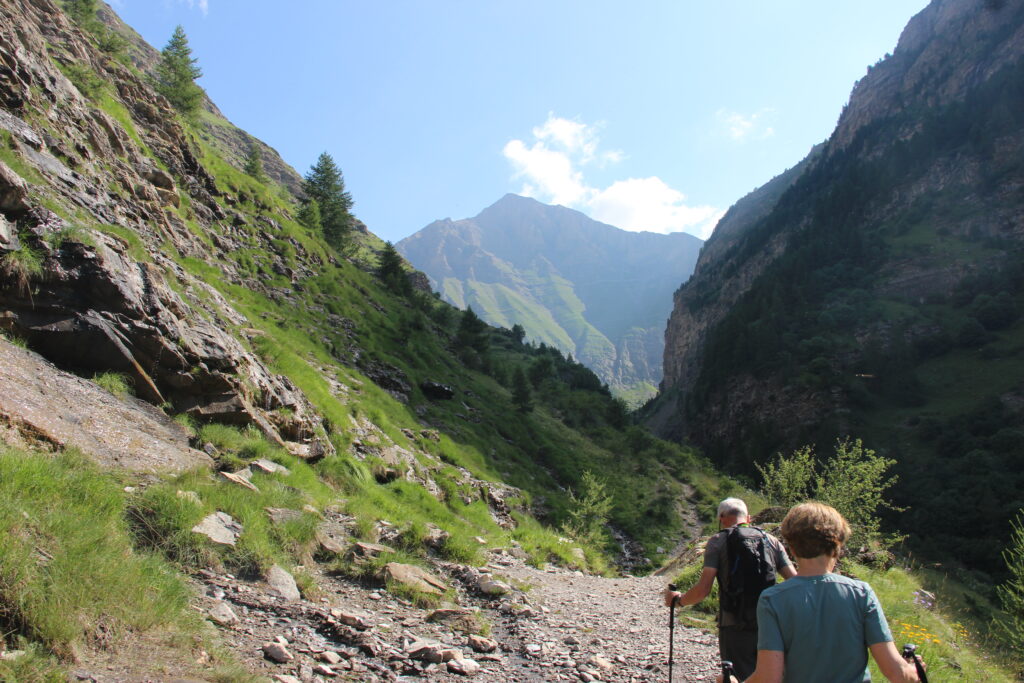 The Mountain in Summer
