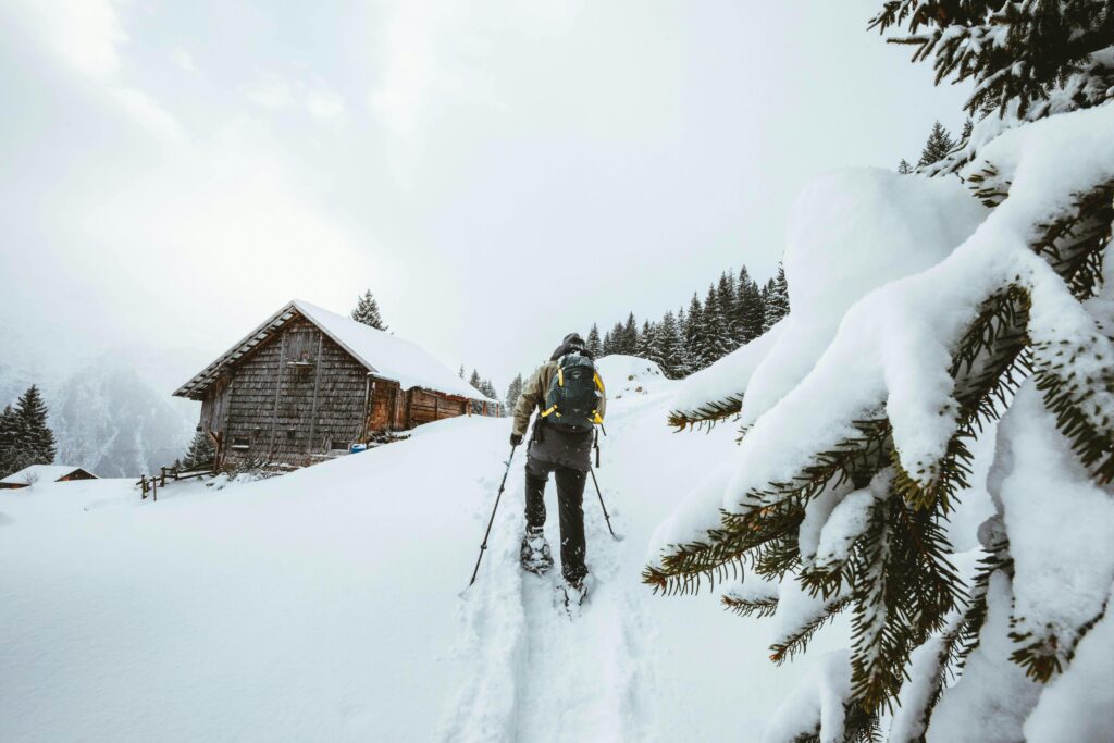 Snowshoeing